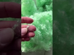 সবুজ তন্তু