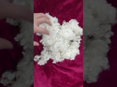 পলিস্টার স্ট্যাপল ফাইবার